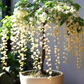 🌸 Last Day 49% OFF – Winter-Friendly Hanging Jasmine—Dreamy Indoor Flower🌿❄️