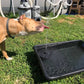 ⏳Time-limited Special⌛Solar Powered Fountain