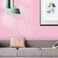🎅Christmas Pre-Sale🎁Water-Based Diatom Earth Interior Wall Paint