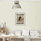 🎅Christmas Pre-Sale🎁Water-Based Diatom Earth Interior Wall Paint