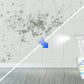 🔥2025 HOT SALE🔥 Powerful Multi-purpose Mold Removal Cleaner Spray