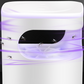 UV Fly Trap with Transparent Catch Box