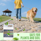 🔥 FLASH SALE - 60% OFF 🔥 Quick-Drying Sticky Landscape Adhesive – Instant Hold, Zero Mess! 🌿✨