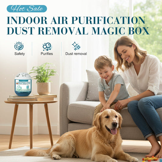 ⌛Only 3 days left – 50% off everything! ⏰Indoor Air Purification Dust Removal Magic Box